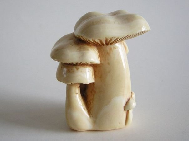 蘑菇 - （4614）